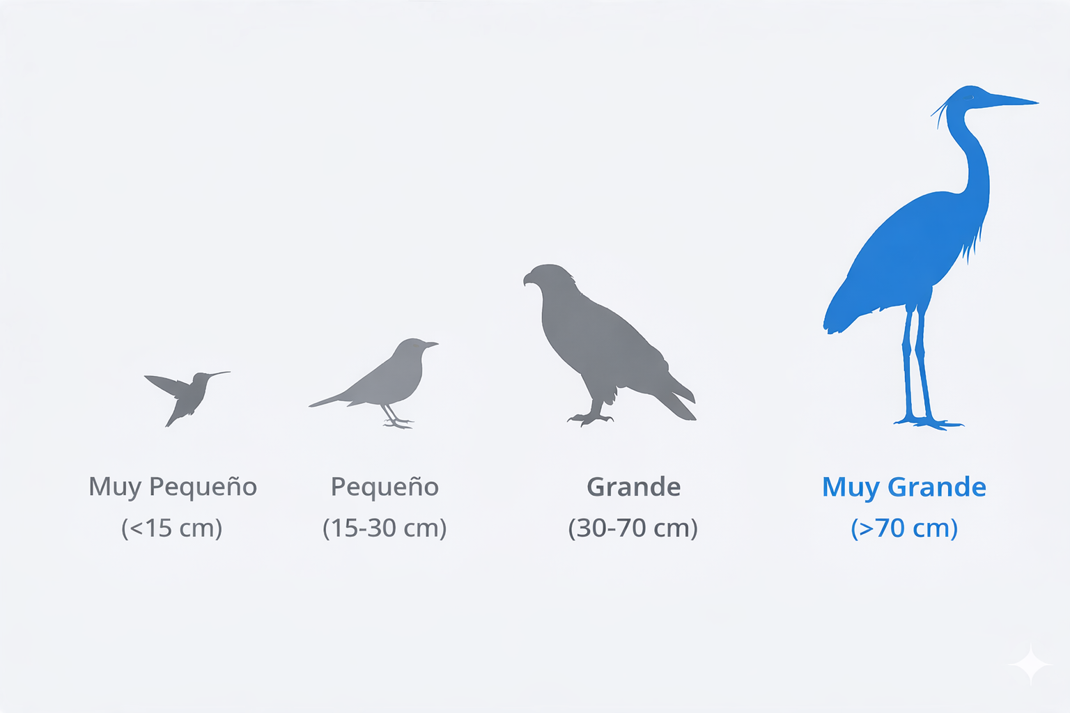 Muy grande (> 70 cm)