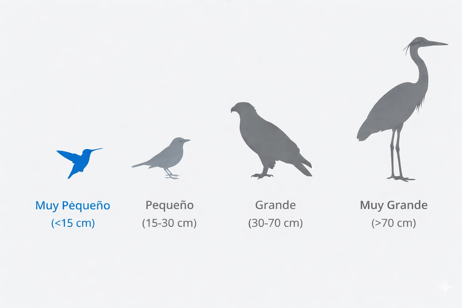 Muy pequeño (< 15 cm)