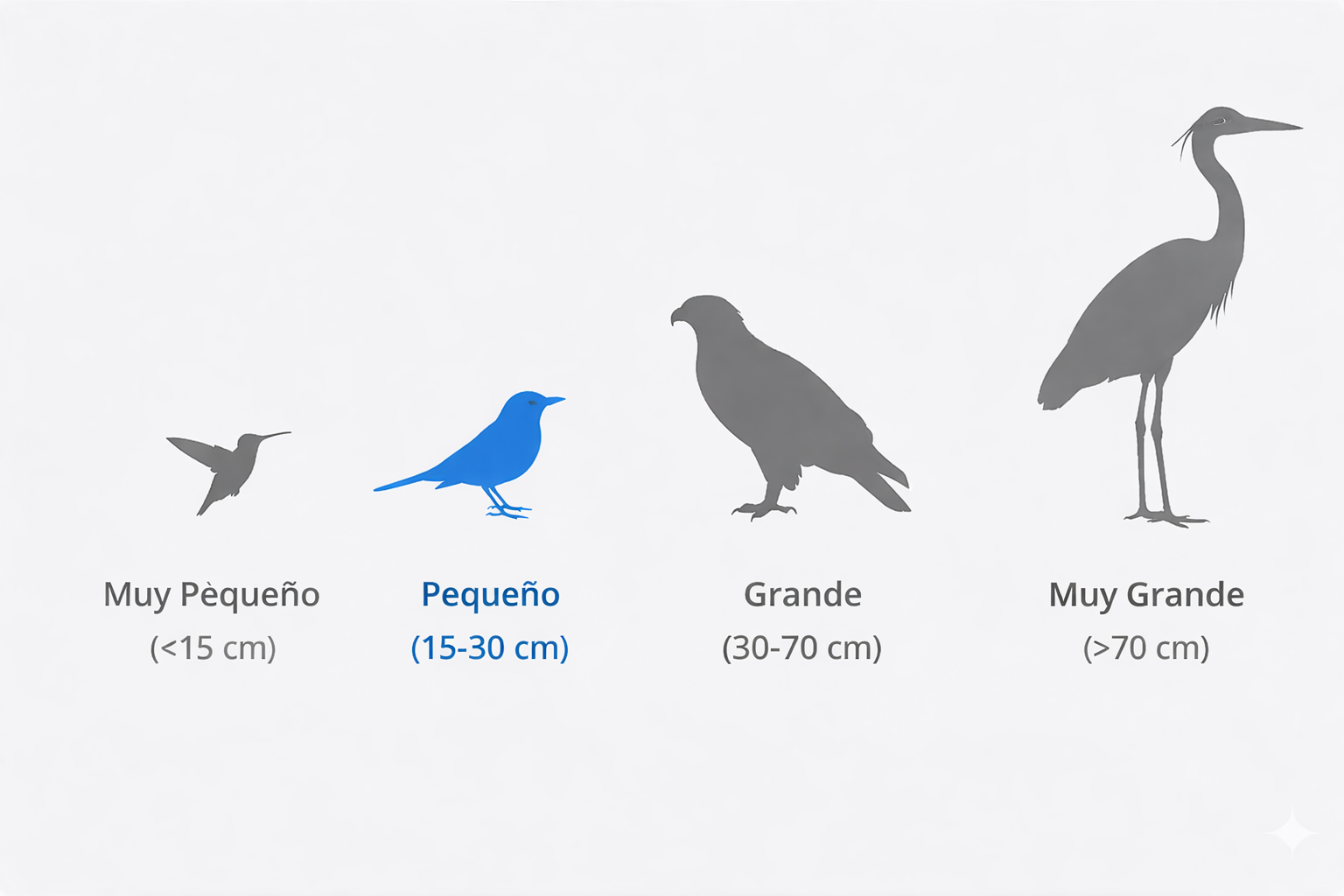 Pequeño (15–30 cm)